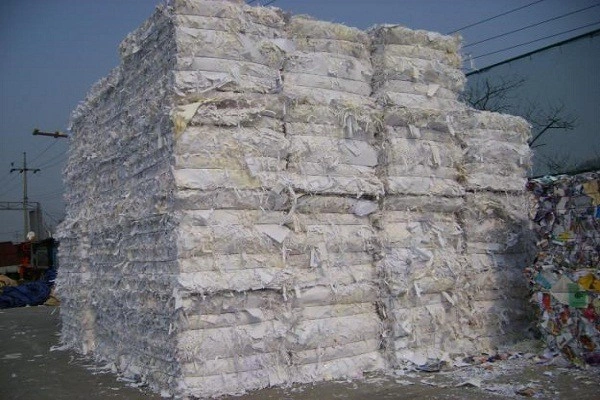 Nhà máy sản xuất giấy và bột giấy