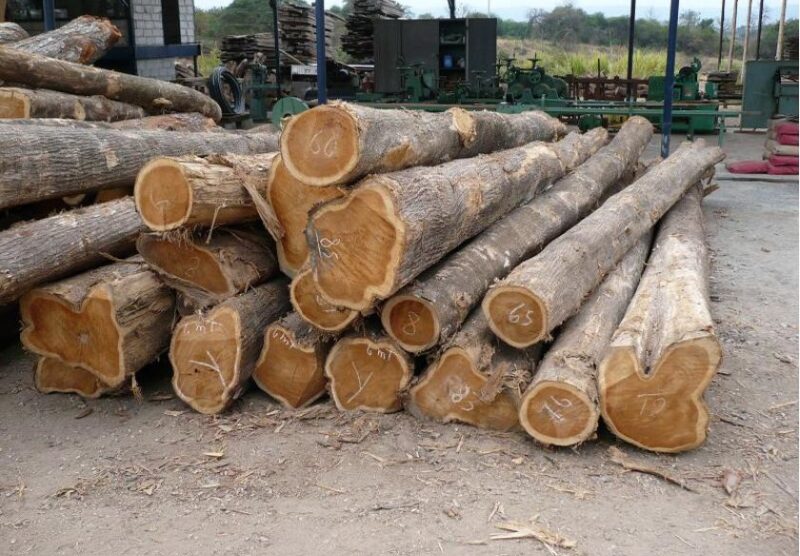 Ngành công nghiệp chế biến gỗ 