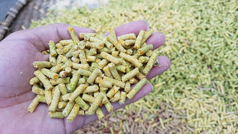 Viên nén thức ăn chăn nuôi
