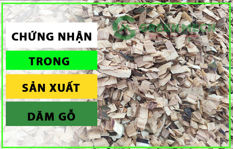 Chứng nhận trong sản xuất dăm gỗ
