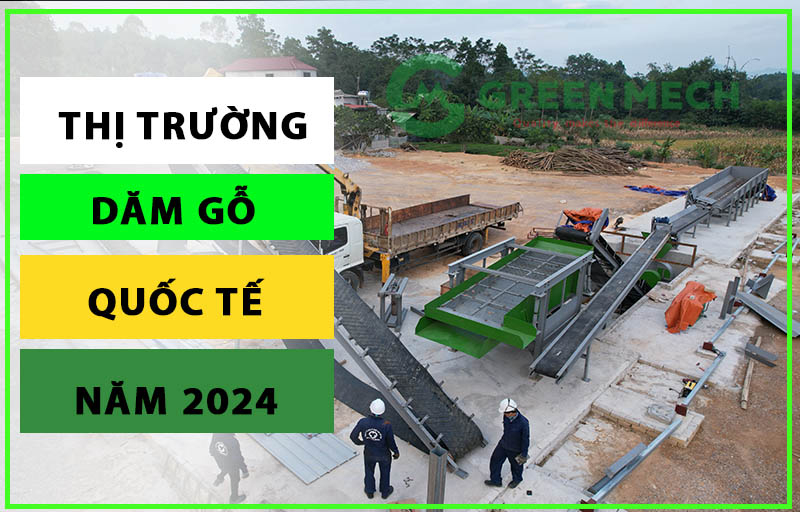 Thị trường dăm gỗ quốc tế năm 2024