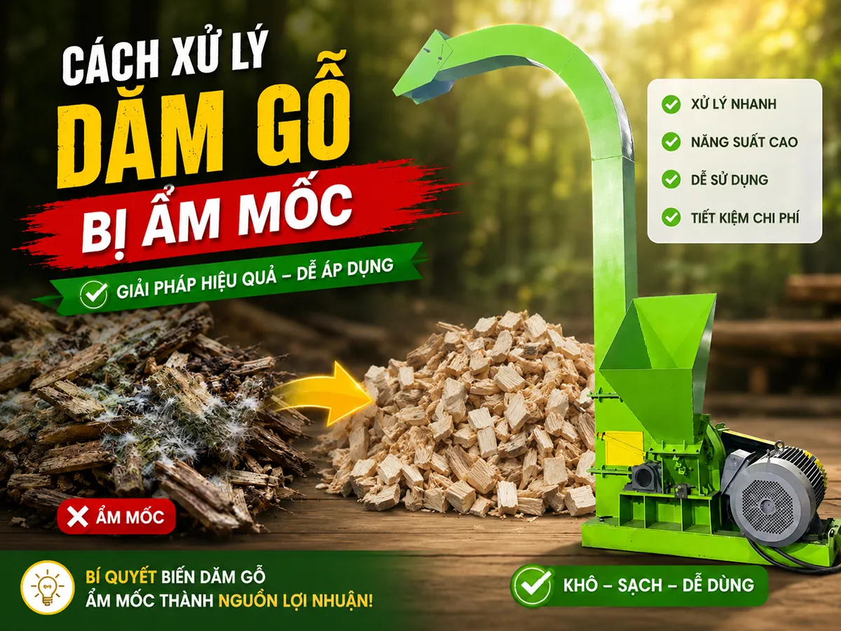 Dăm gỗ bị ẩm mốc không xử lý kịp sẽ mất cả lô hàng. Phát hiện sớm và xử lý đúng là yếu tố sống còn trong mùa mưa.
