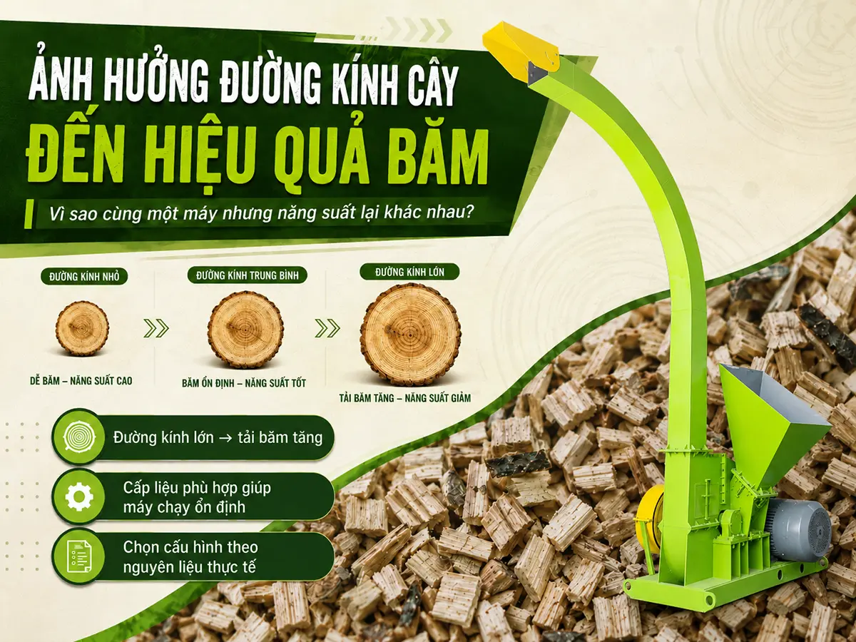 Ảnh hưởng đường kính cây đến hiệu quả băm thể hiện rõ qua mức tải động cơ, tốc độ cấp liệu, khả năng xử lý của rotor và năng suất thực tế của toàn hệ thống.