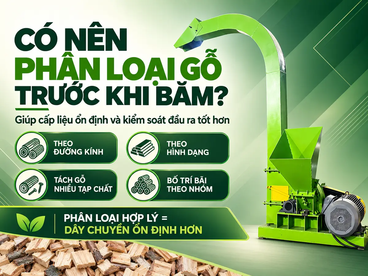 Có nên phân loại gỗ trước khi đưa vào dây chuyền băm? Phân loại hợp lý giúp giảm biến động của nguyên liệu đầu vào.
