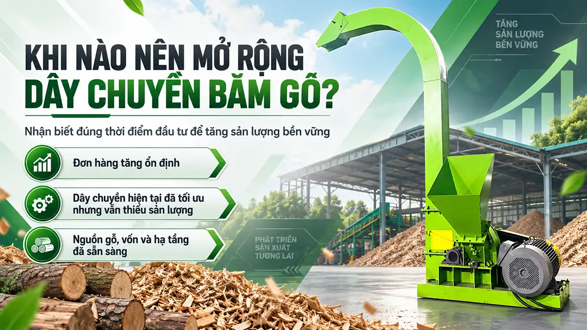 Khi nào nên mở rộng dây chuyền băm gỗ? Dấu hiệu và điều kiện đầu tư